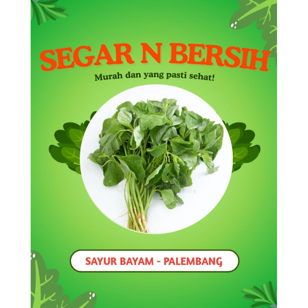 

SAYUR BAYAM SEGAR - PALEMBANG