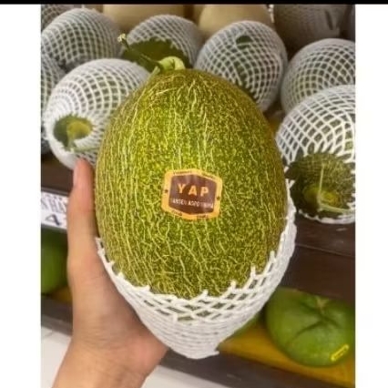 

melon hamiqua hydroponik garing manis melon hamiqua