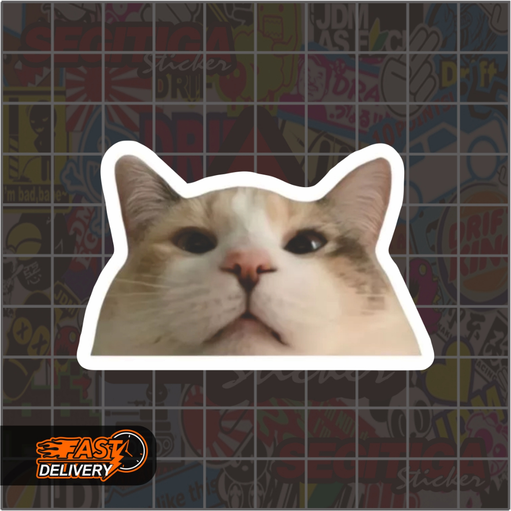 

Sticker Kucing Lucu Selfie Cat Ukuran 7 x 4.5 Cm