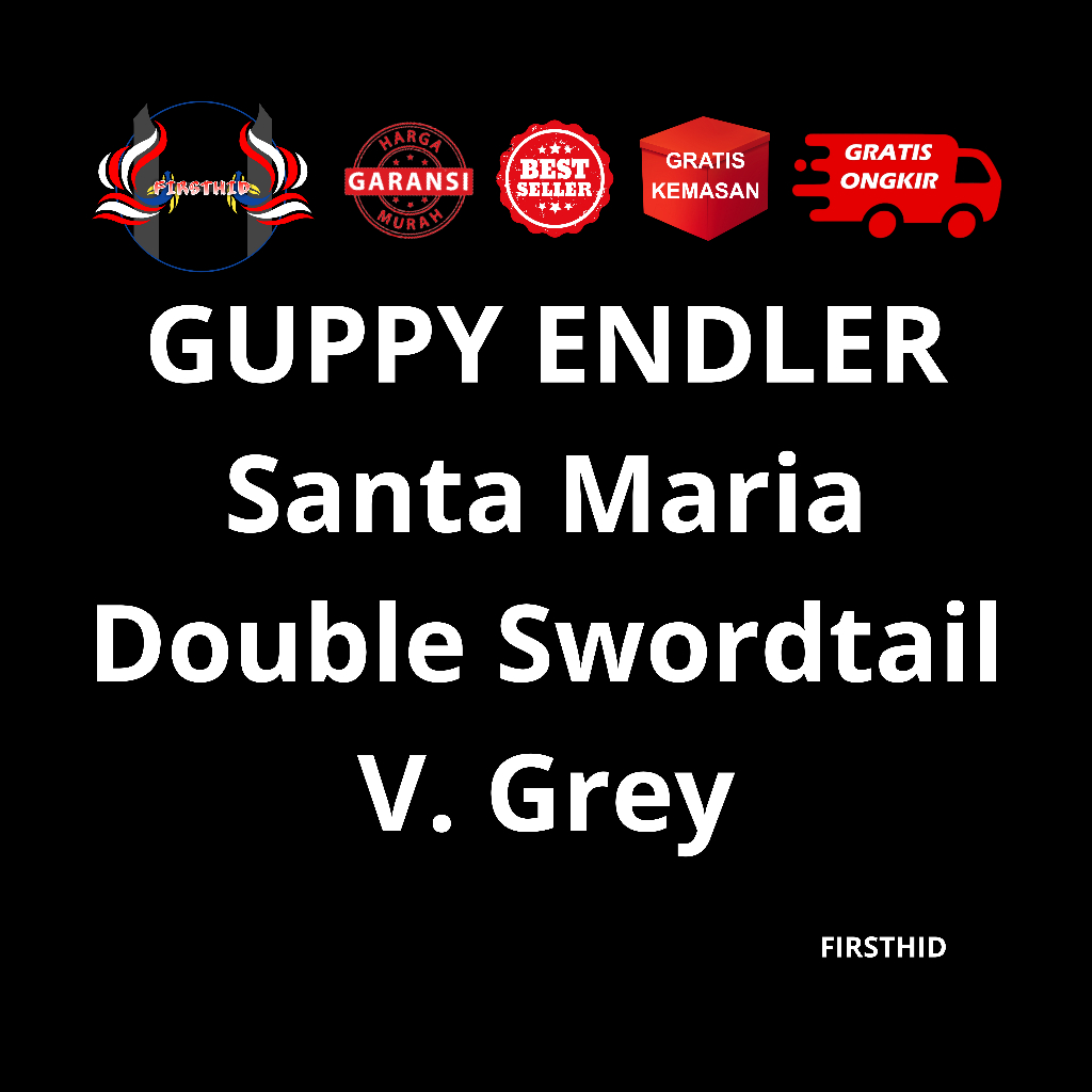 (BEST SELLER) Kardus Packing ENDLER Santa Maria hiasan akuarium