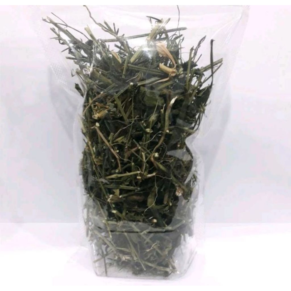 sambiloto kering 1 kg