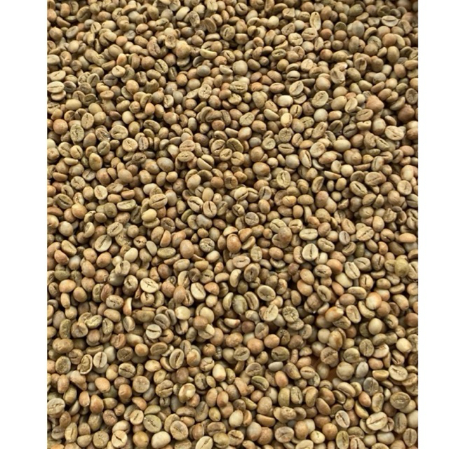 

Gupait Kopi Greenbean Robusta Grade A Sortiran / Biji Kopi Mentah 1 kg / Roasting