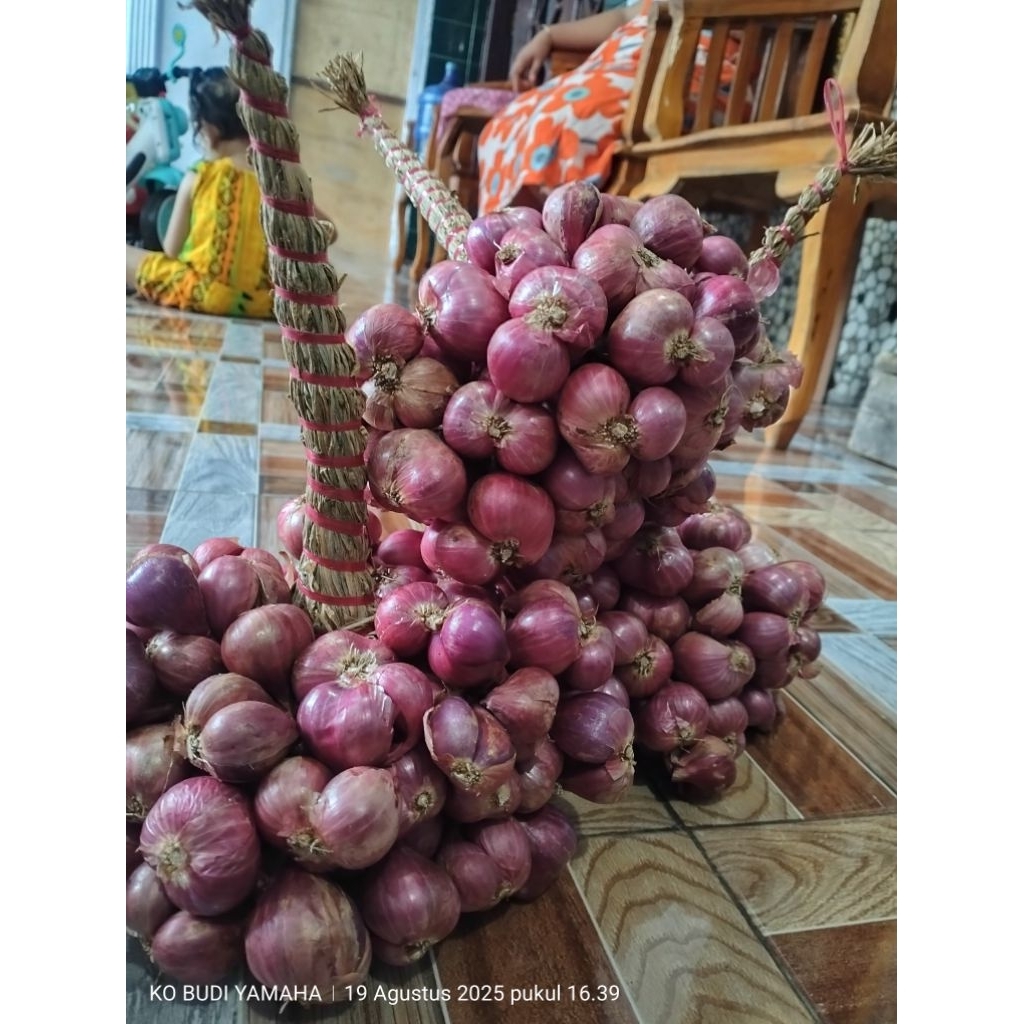 

bawang merah besar iket daun