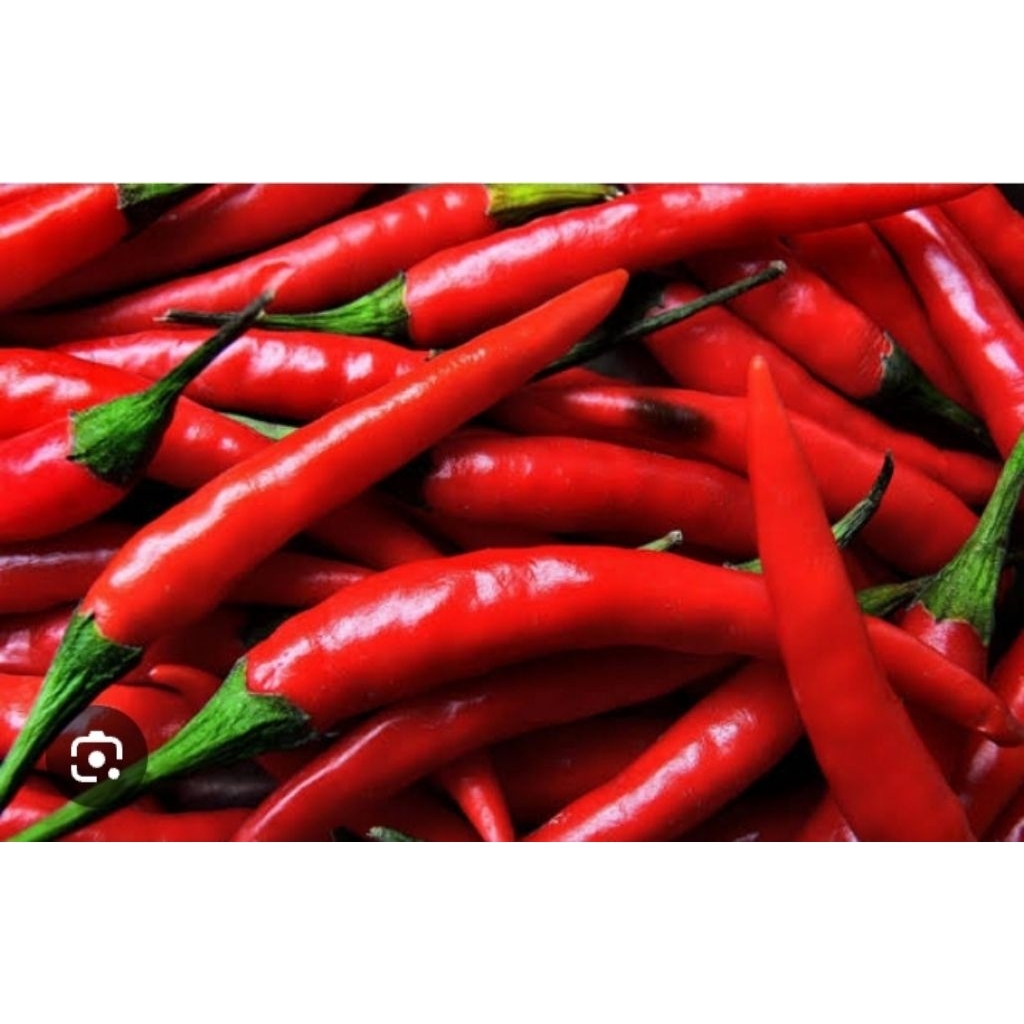 

250g cabai merah
