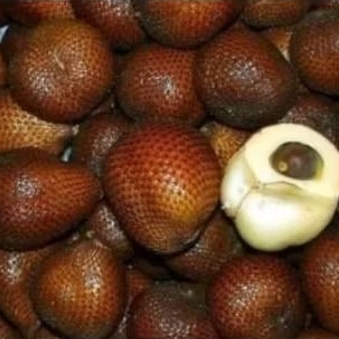 

Salak gula pasir Bali super manis 1kg