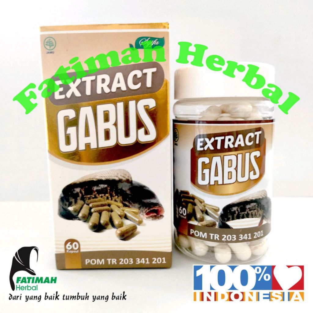 Ekstrak Gabus 60 kapsul CV. Syifa Herbal Alami