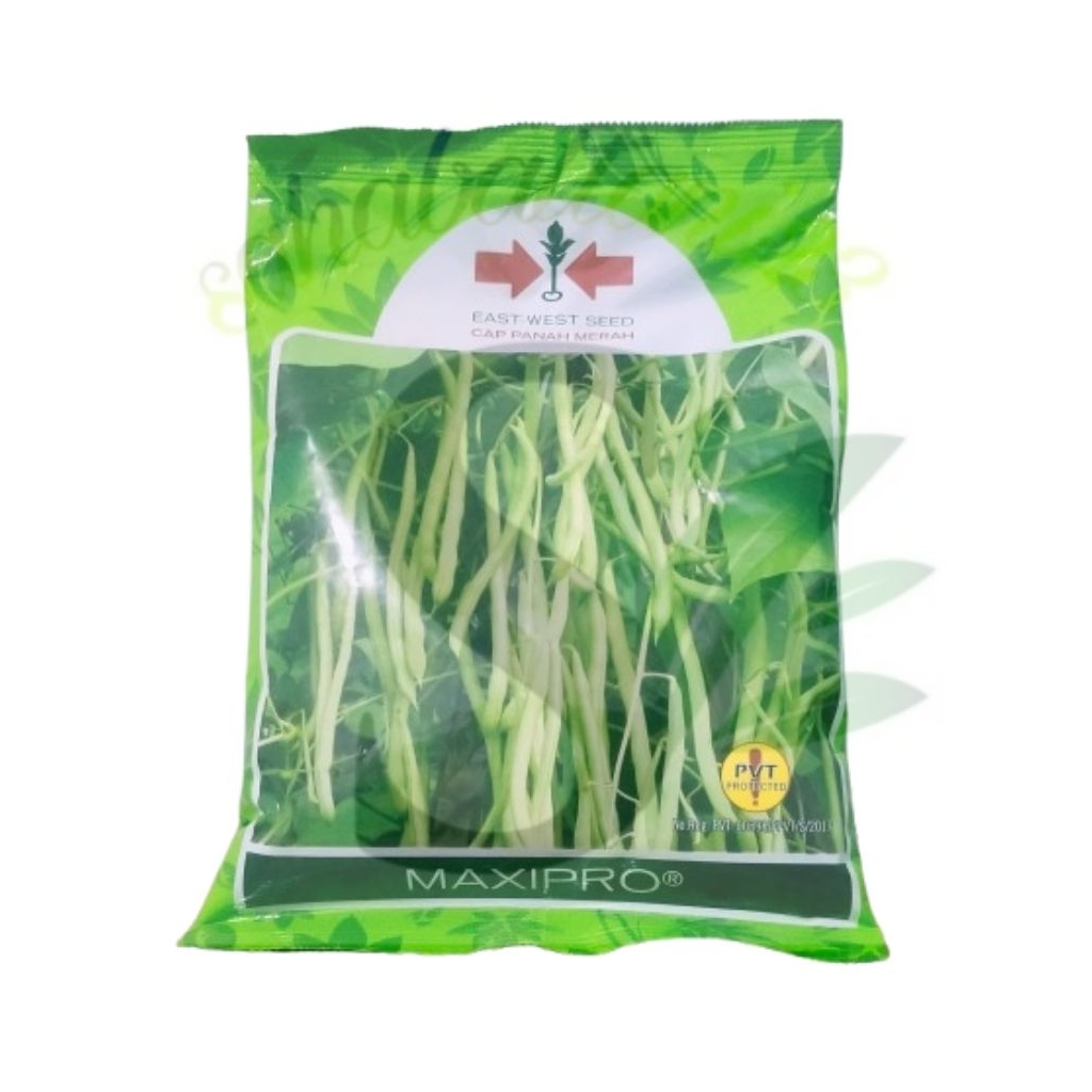 

Benih Buncis MAXIPRO isi 500 gram (CAP PANAH MERAH)