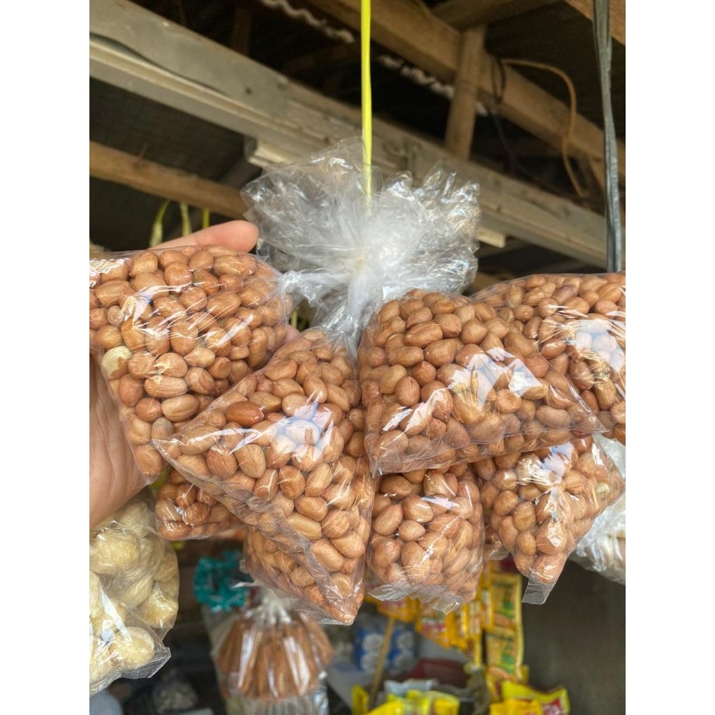 

Kacang Tanah