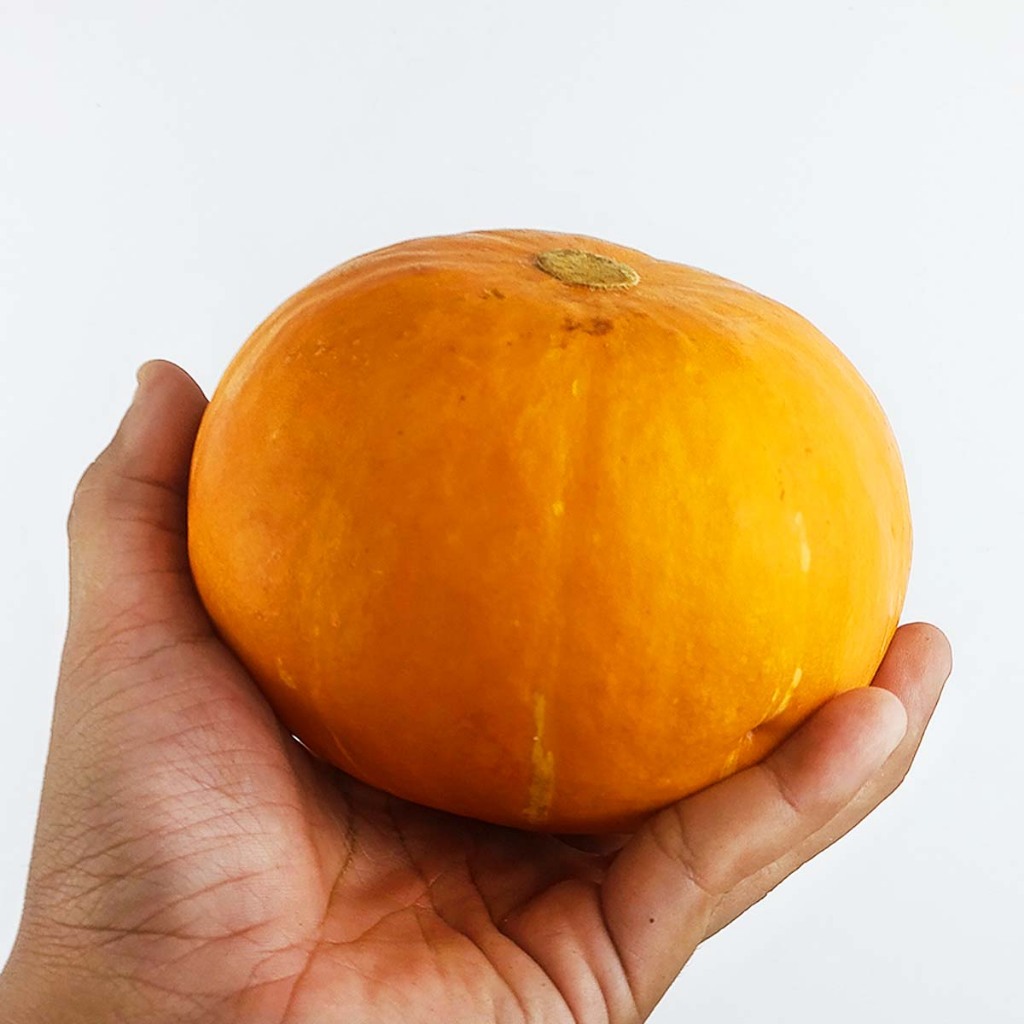 

Labu Kabocha / Kaboca Kuning 1Pcs Fresh