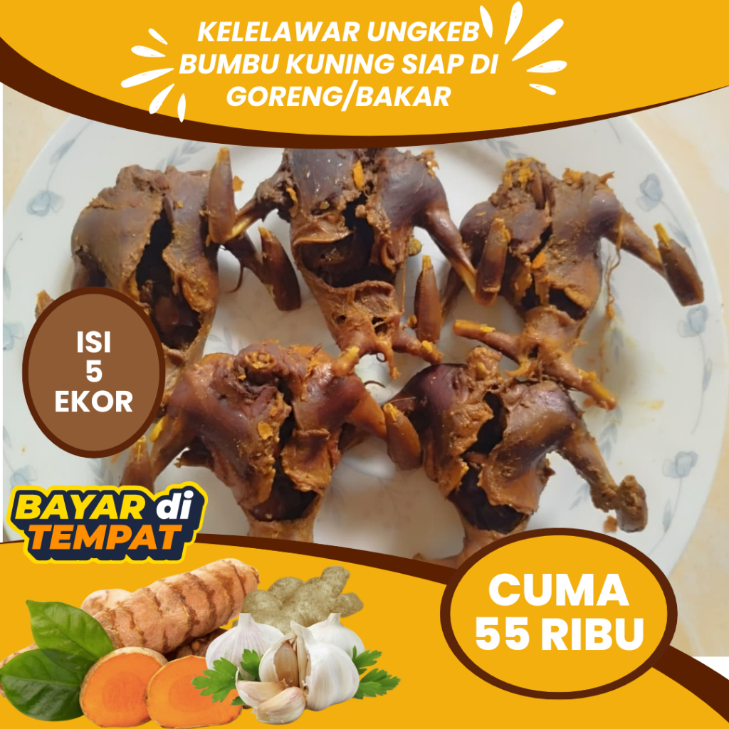 

DAGING KELELAWAR KELAPA ATAU CODOT UNGKEB SIAP GORENG DAN BAKAR- DAGING KELELAWAR BERHASIAT OBAT ASMA ISI 5 EKOR