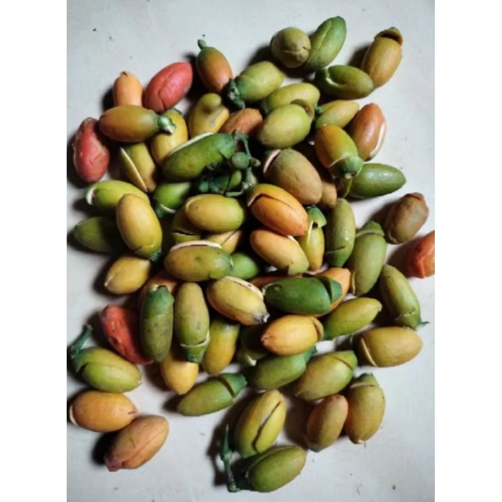 

kulit melinjo kuning bahan buat sayur asem segar(500) gr