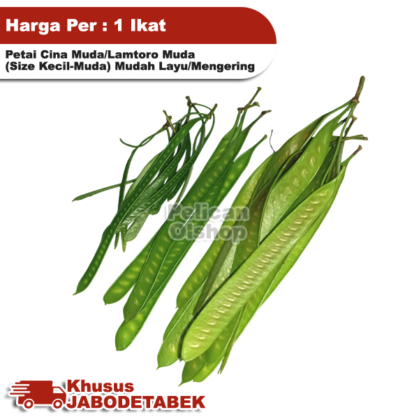 

Petai Cina Muda 1 Ikat Isi ±60 Pcs Pete Palending Selong Lamtoro Seupan Lalapan Rebus Masakan Leucaena Leucocephala Urap Sambal Obat Herbal