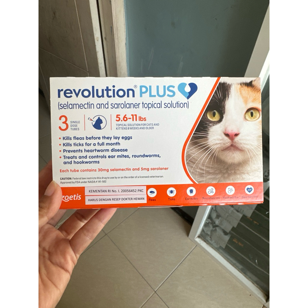 REVOLUTION PLUS ORANGE