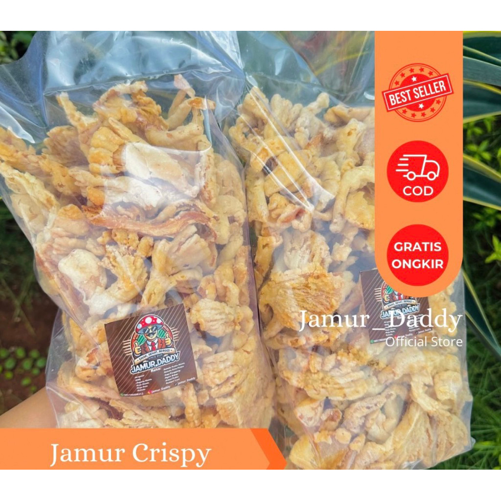 

Keripik Jamur Crispy Camilan Jamur Tiram Original 500 Gram Renyah Nagih