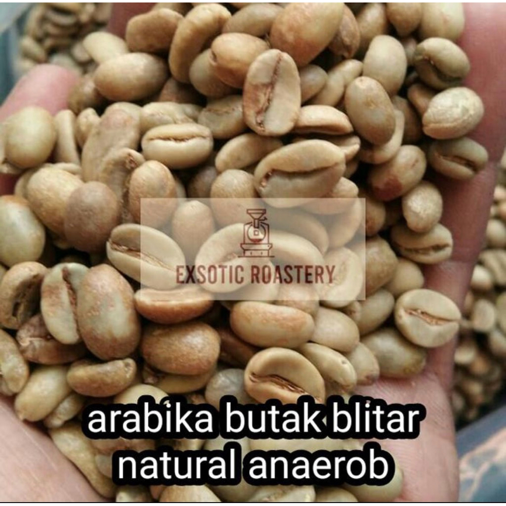 

green bean arabika natural anaerob java bhutak blitar