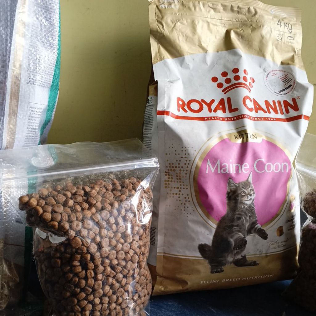 Royal Canin kitten Maine coon kemasan Repack 1 kg