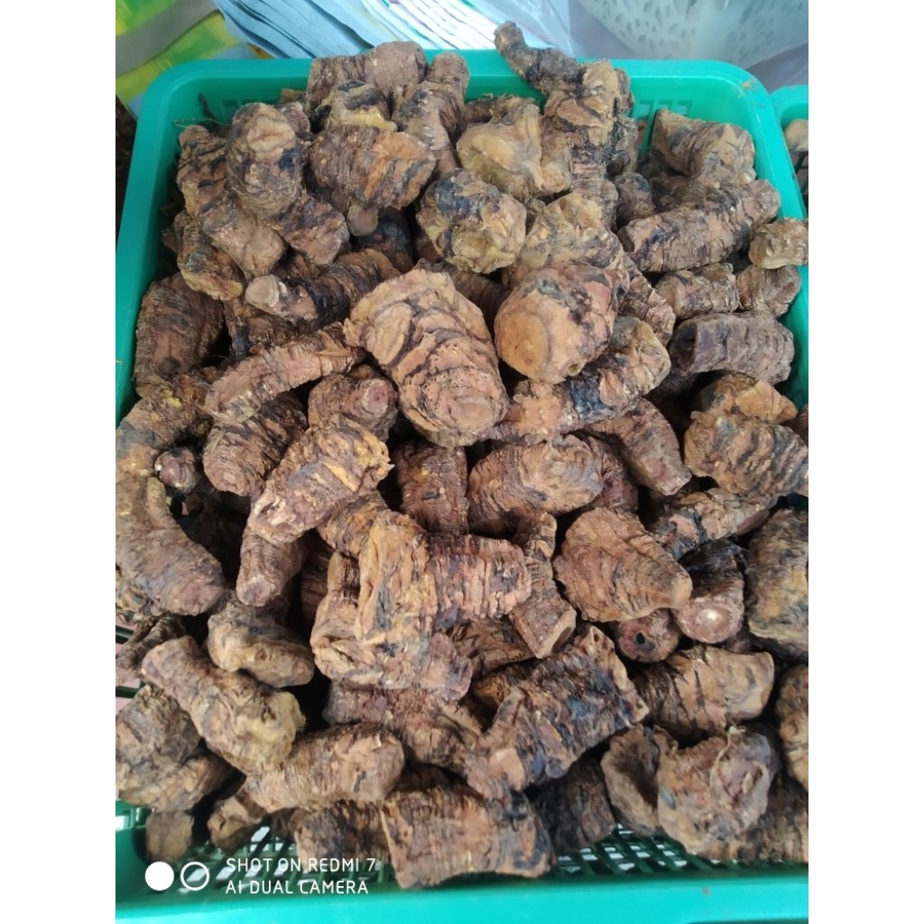 

klembak srinthil 100 gr