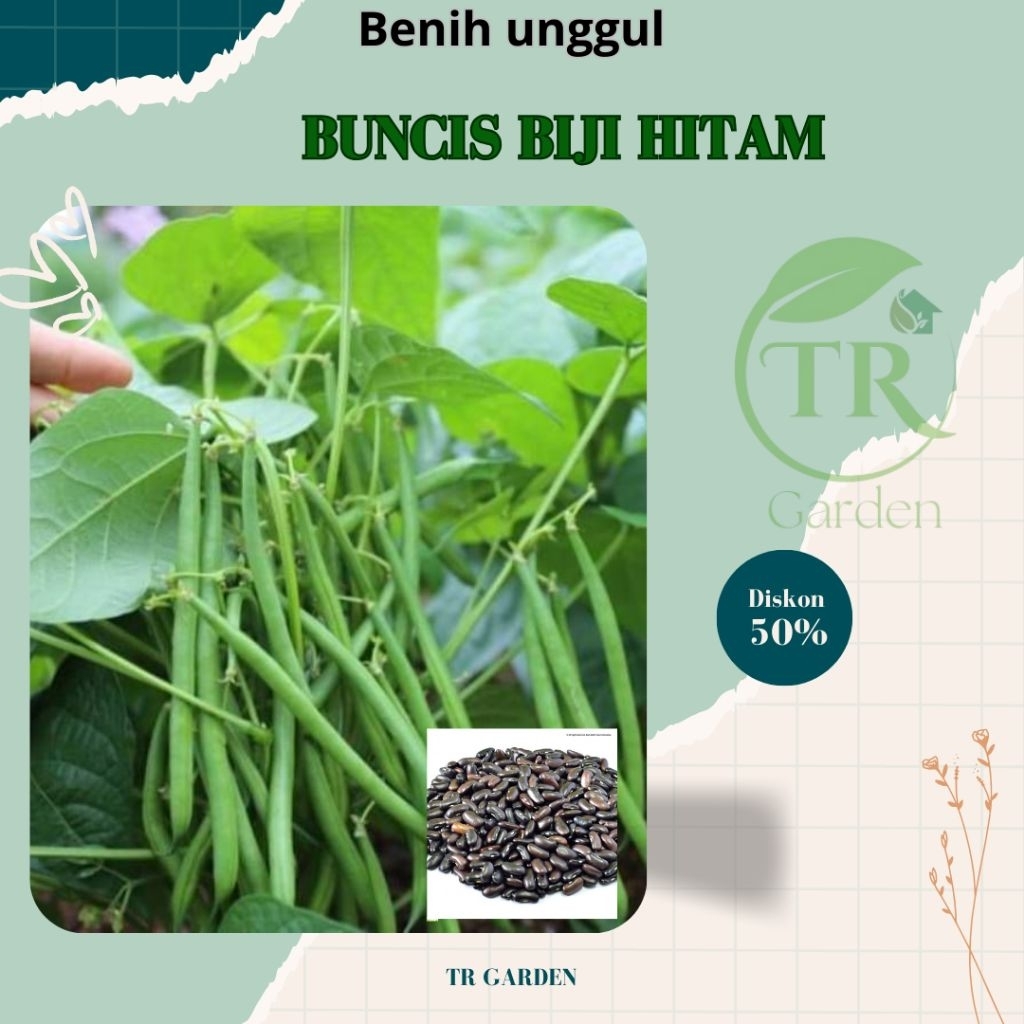 

biji BENIH BUNCIS HITAM SUPER PAKET MURAH ISI ( 500 BIJI )