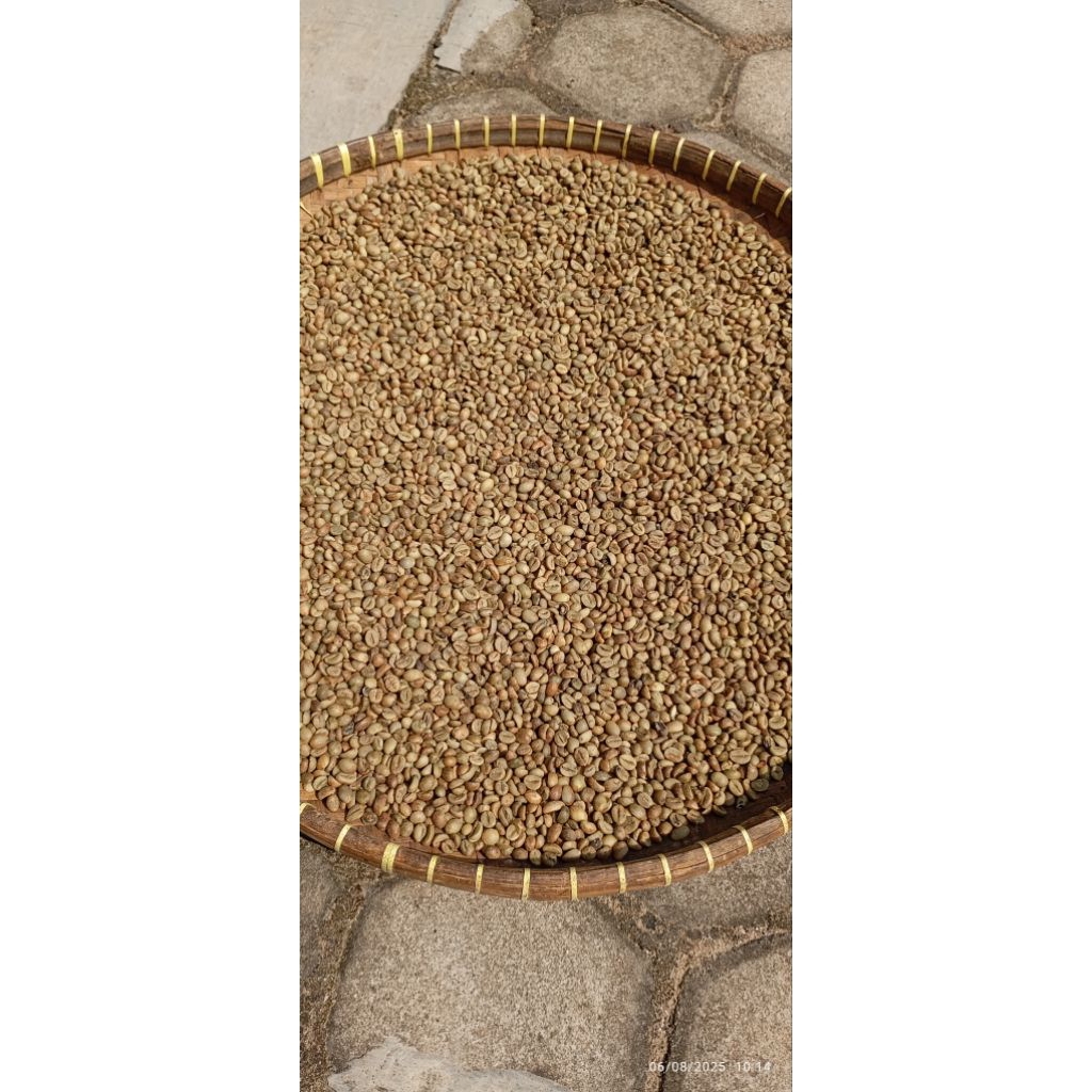 

BIJI KOPI ROBUSTA LAMPUNG BARAT
