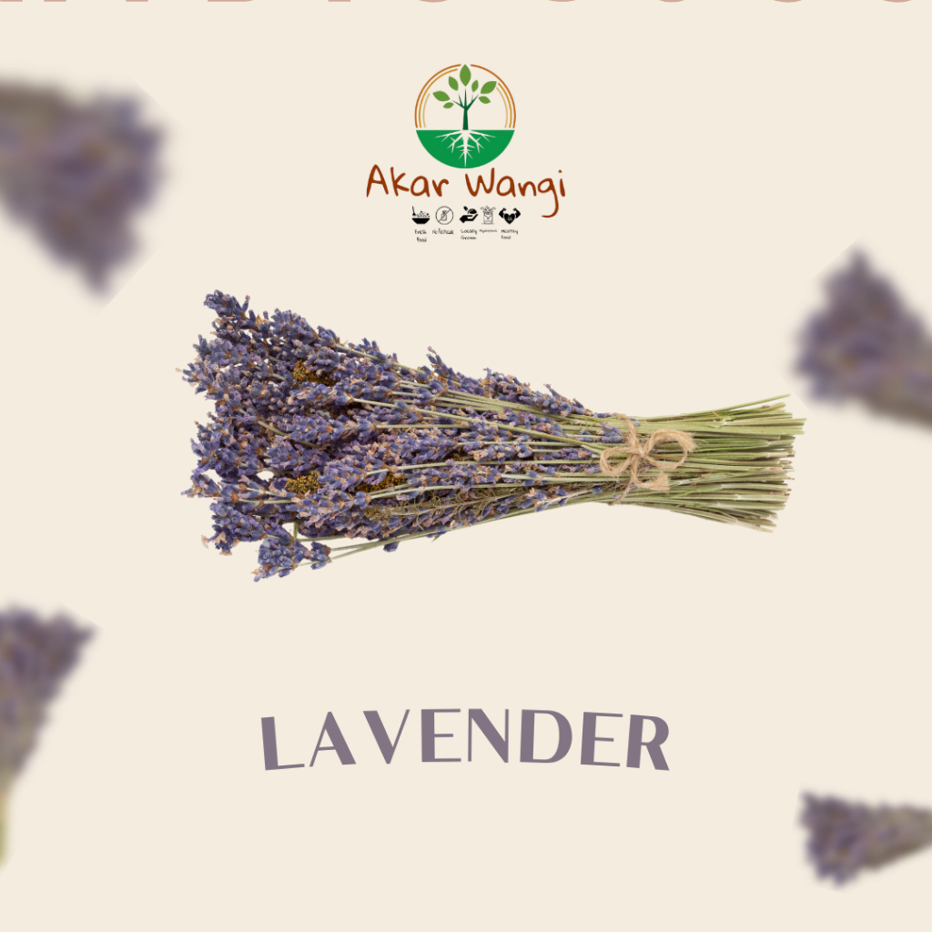 

Lavender Glass Tube Tea | Akar Wangi Artisan Tisane Herbal Flower Tea | Teh Seduh Bunga Lavender