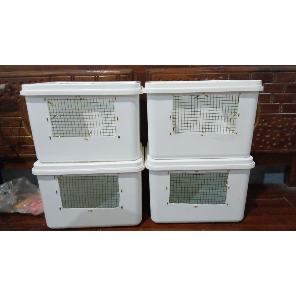 Box lolohan hewan(burung/hamster)