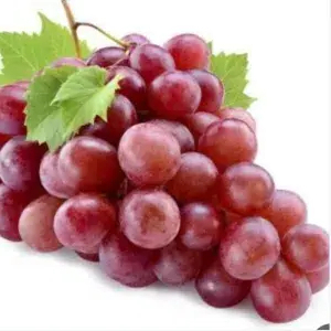 

Anggur Merah China 500 Gram