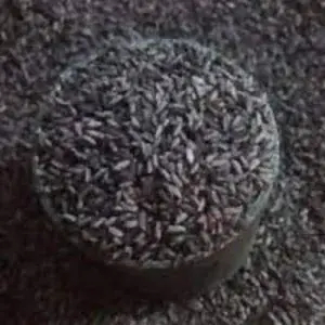 

Beras Ketan Hitam 1 Liter