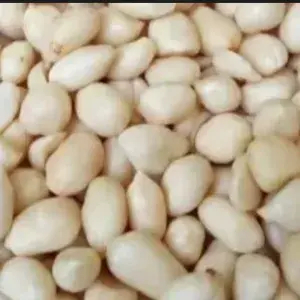 

Kacang Tanah Kupas Kulit 1 Kg