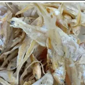 

Ikan asin Bulu Ayam 250 Gram