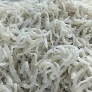 

Ikan Asin Teri Medan 100 Gram