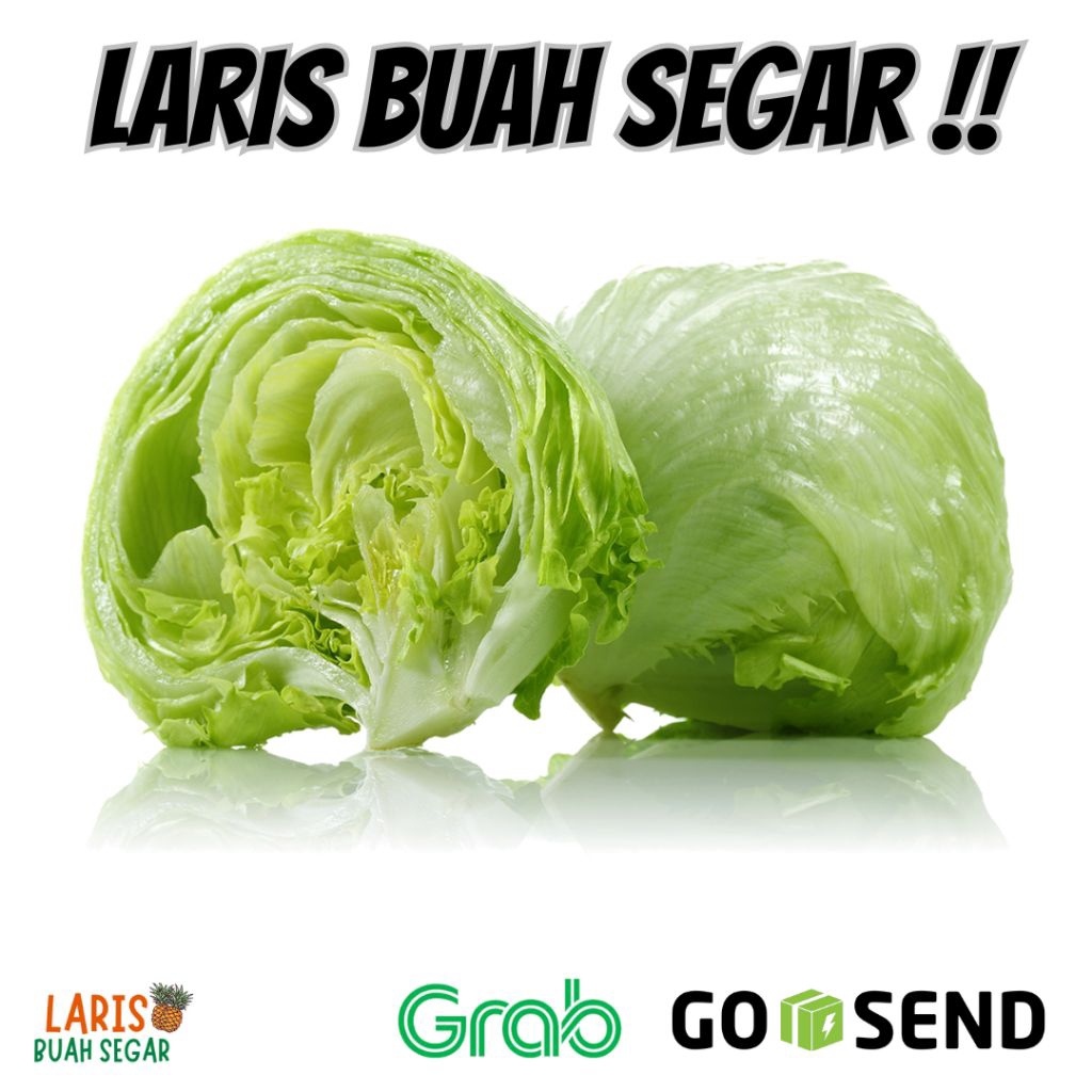 

ICEBERG LETTUCE 500GR