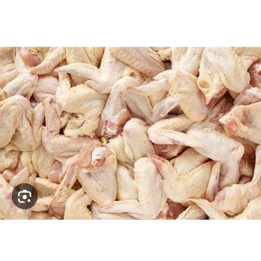 

1 kg daging sayap ayam negeri