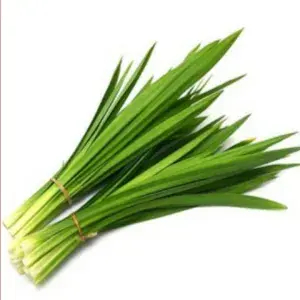 

Daun Pandan - Per ikat