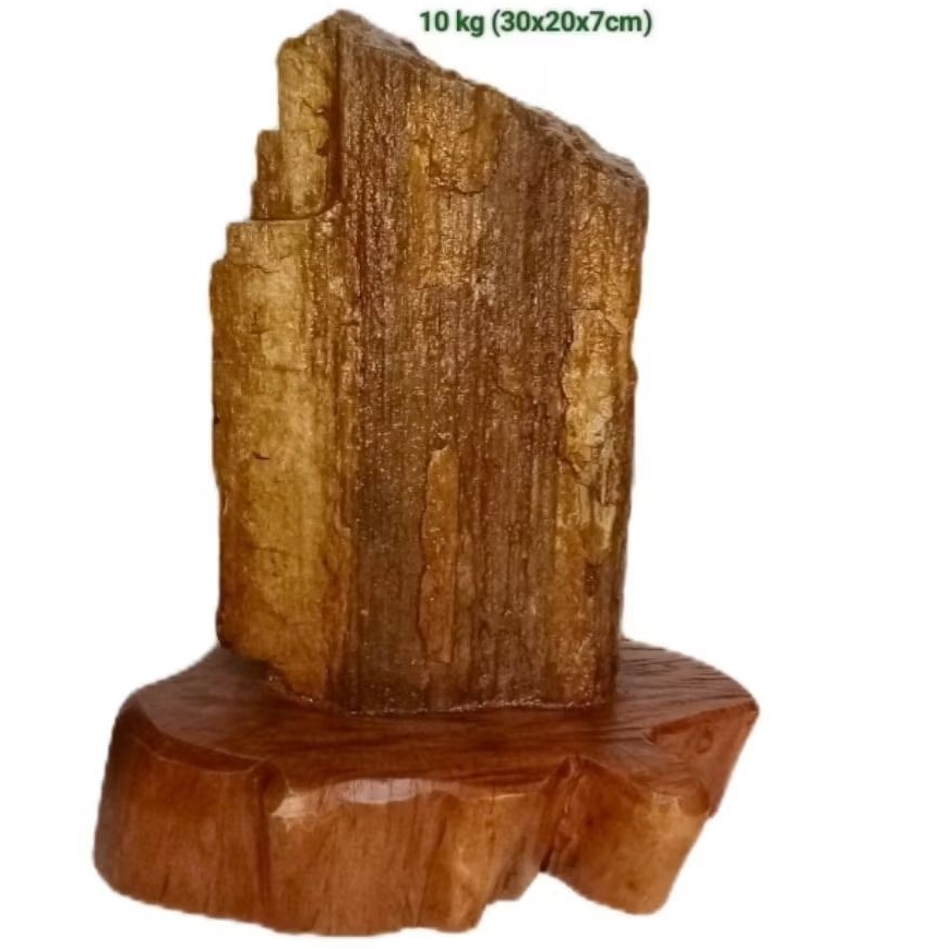 batu akik hias fosil kayu cendana (197)