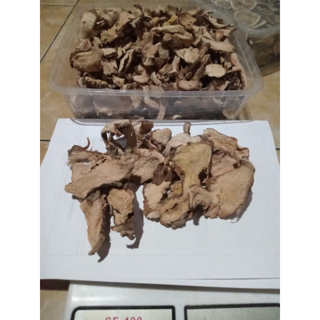 laos/lengkuas kering