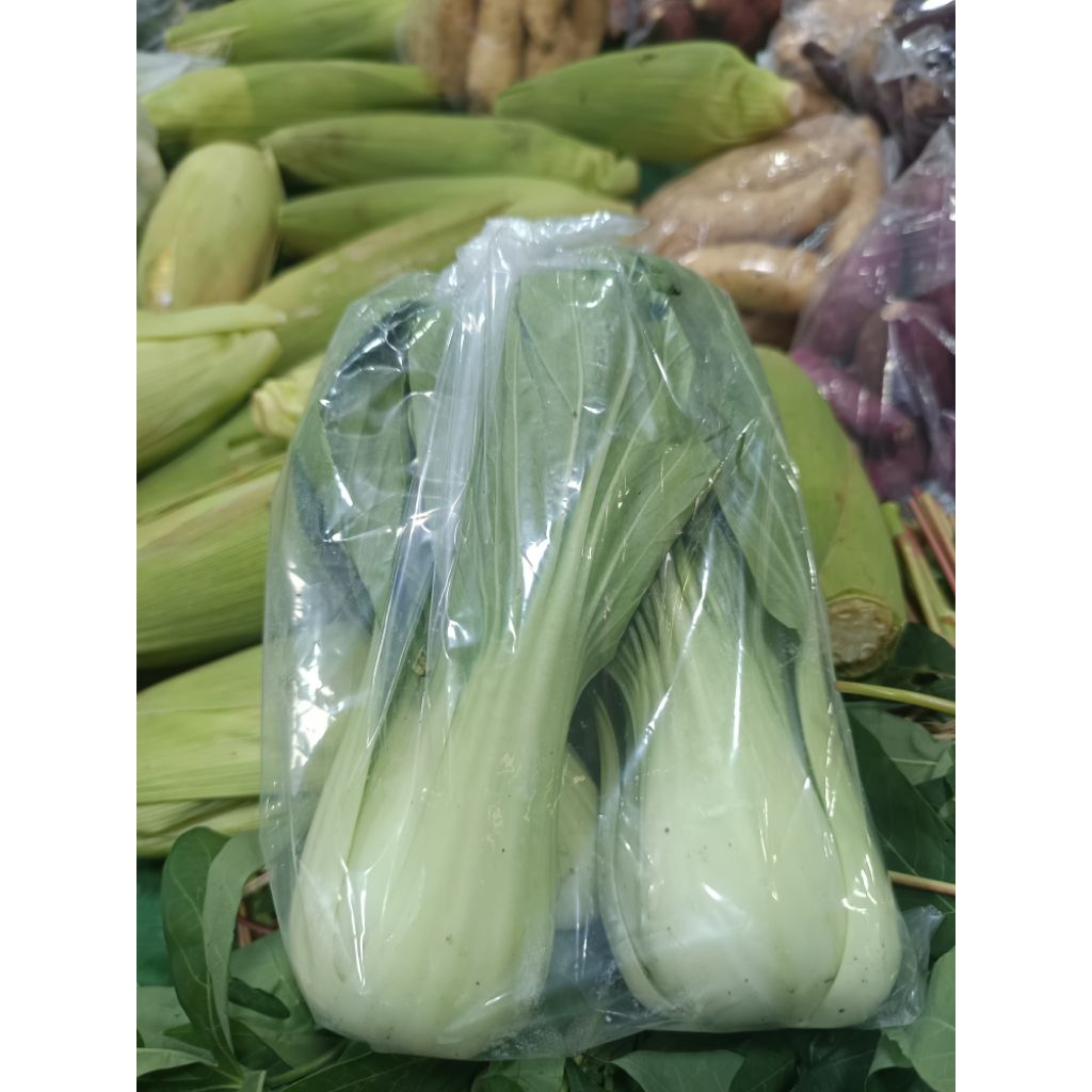 

Pakcoy Segar - 1 bks