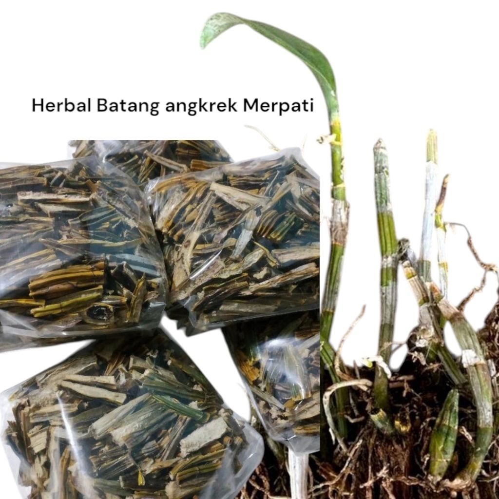 

Batang angkrek Merpati 500gr
