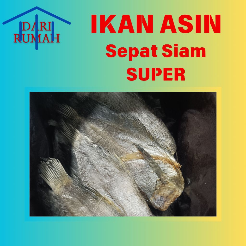 

Ikan asin sepat siam super terbaik termurah