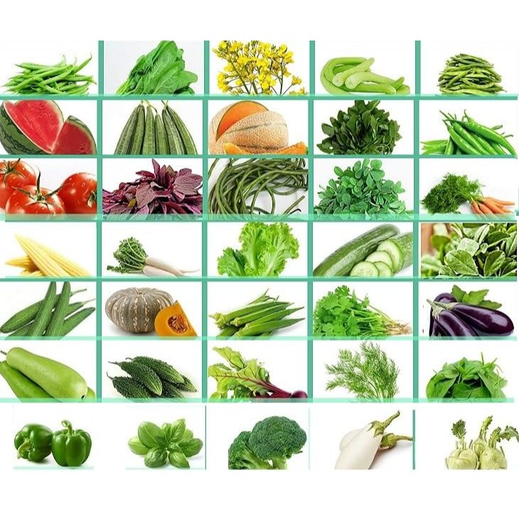 1 PAKET 20 MACAM JENIS BENIH SAYUR SAYURAN SIAP TANAM MUDAH TUMBUH LENGKAP HEMAT BIJI TANAMAN COD