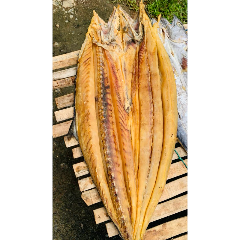 

Telang Tenggiri Asin Seekoran – Ikan Asin Premium Laut Segar