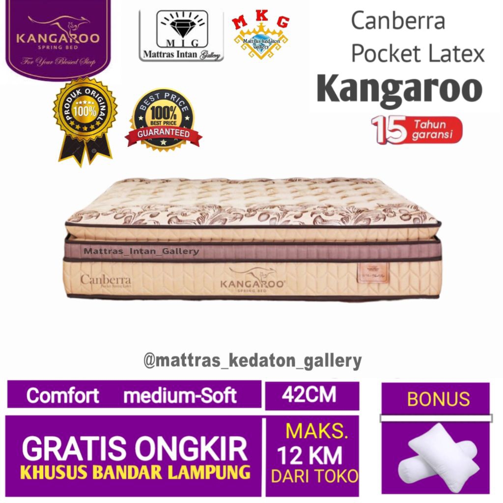 Springbed Kangaroo Canberra Pocket Latex T42cm - kasur spring bed kangaroo spring bed size 160 - 180