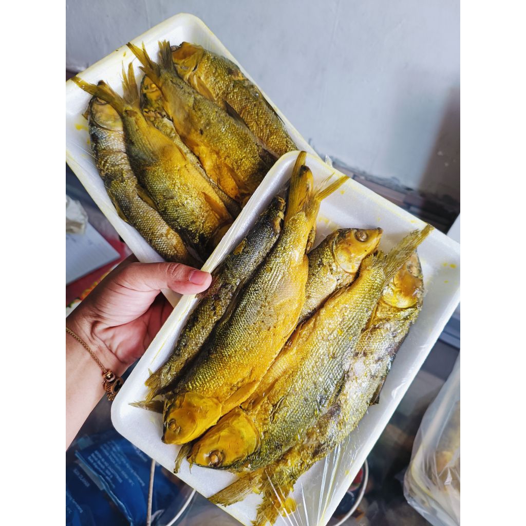 

BANDENG PRESTO ISI 5 JUMBO