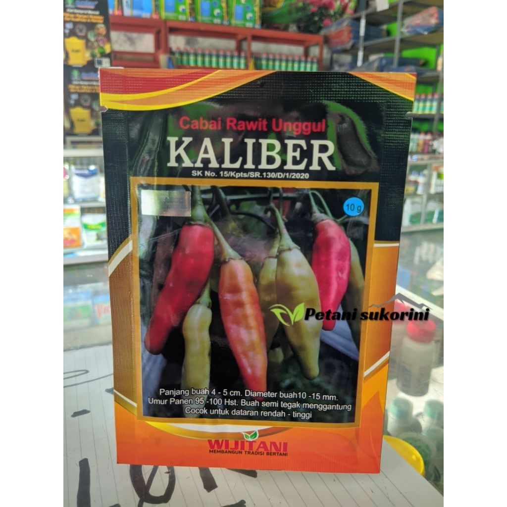 

cabai Kaliber original wijitani
