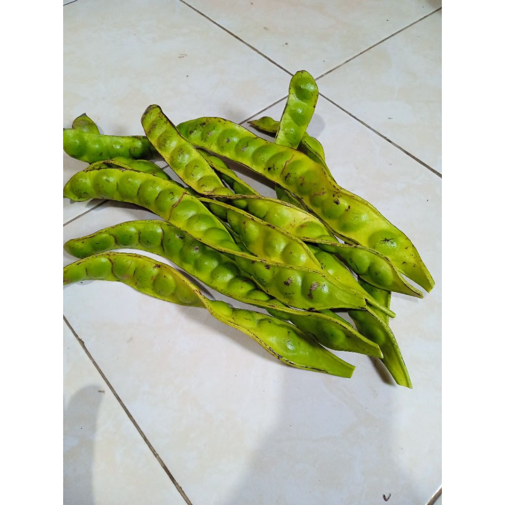 

Pete utuh harga per 10 papan.