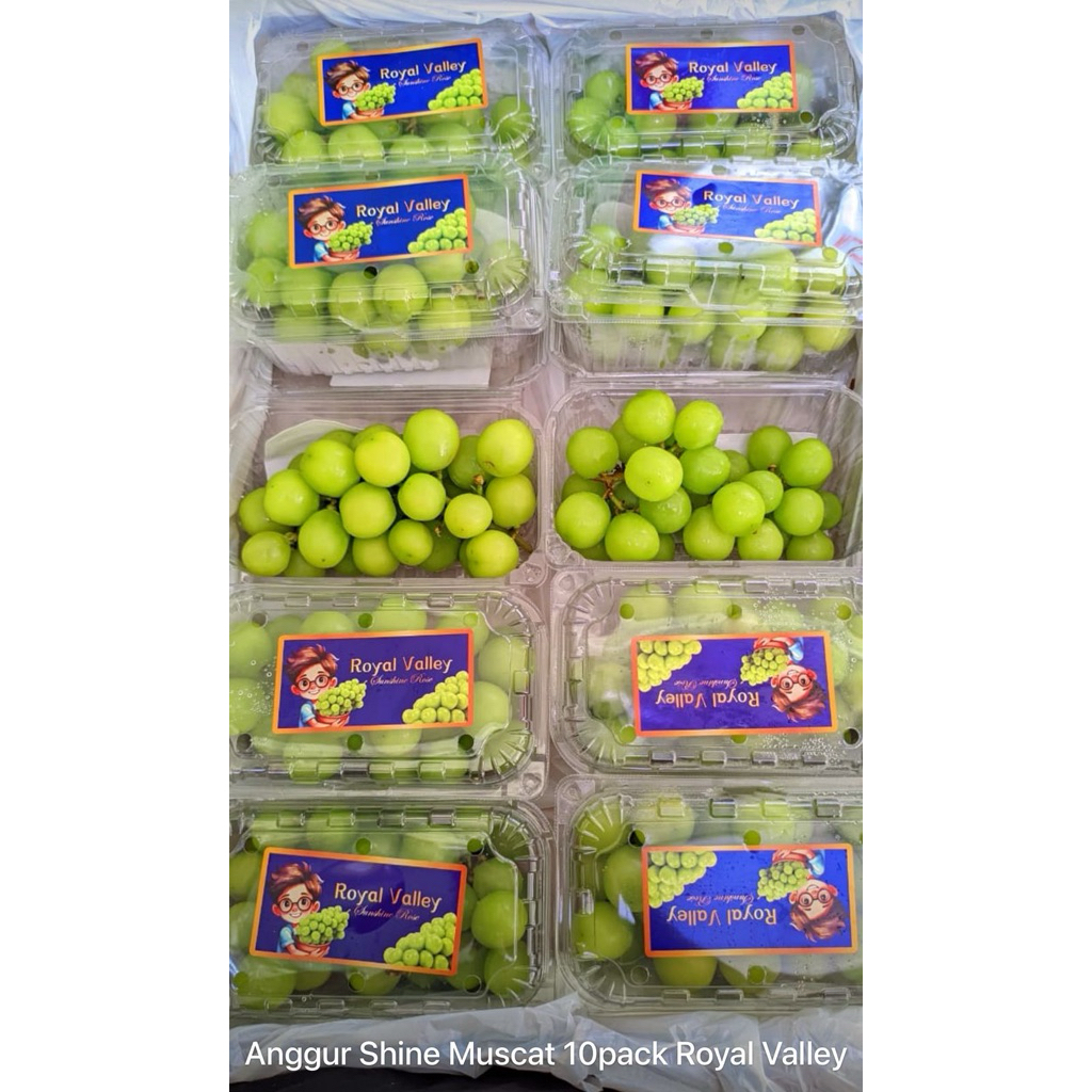 

ANGGUR HIJAU MUSCAT PACK 500x10 5KG DIKIRIM SESUAI STOCK