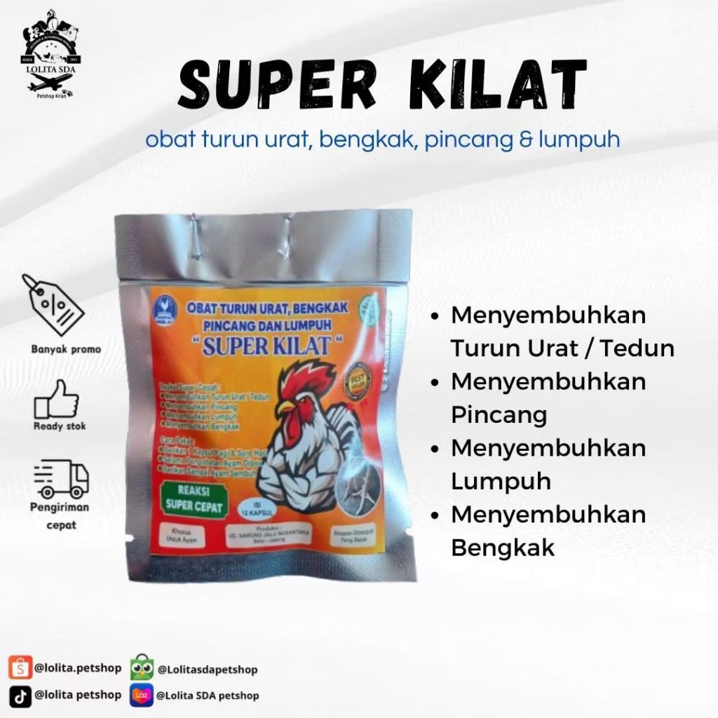 Obat Turun urat, bengkak,pincang dan lumpuh super kilat untuk ayam