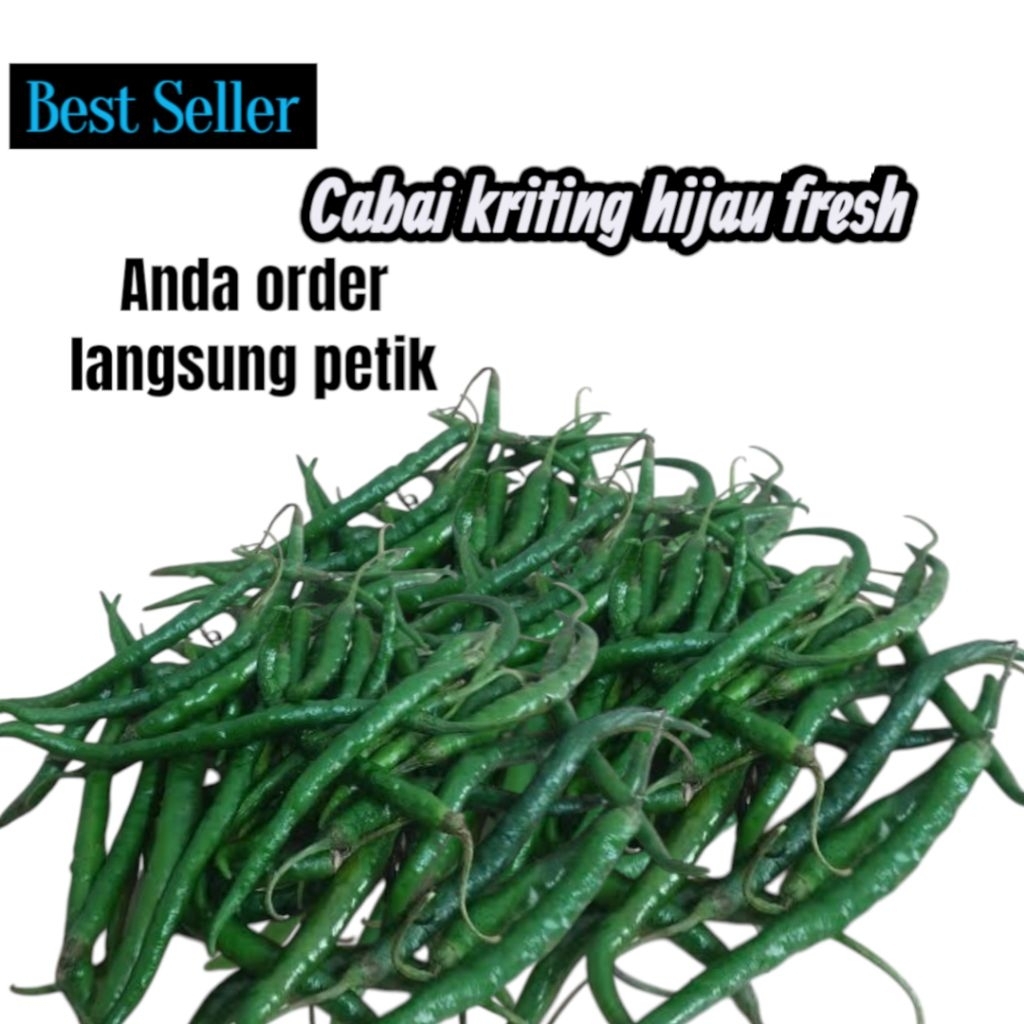 

cabai kriting hijau fresh