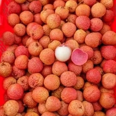 

Buah Leci Merah Madu