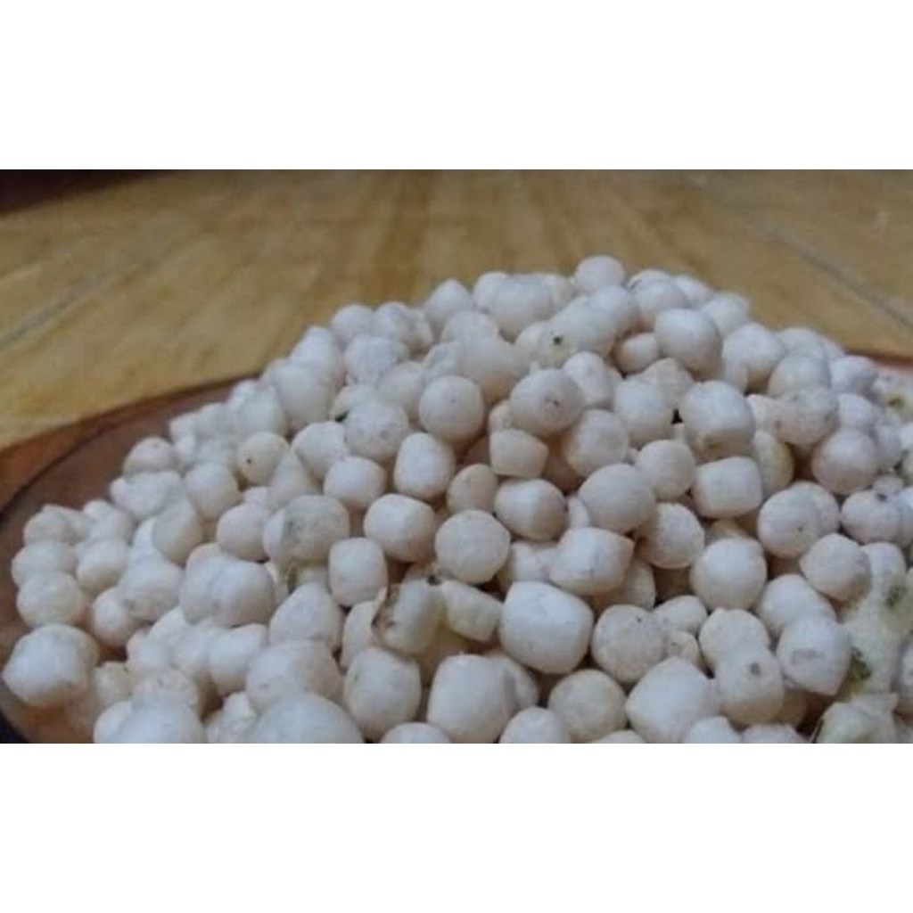 

Pilus Kucai Khas Tegal | Pilus Kecil