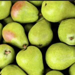 

pier sultan/pier xiangli manis.